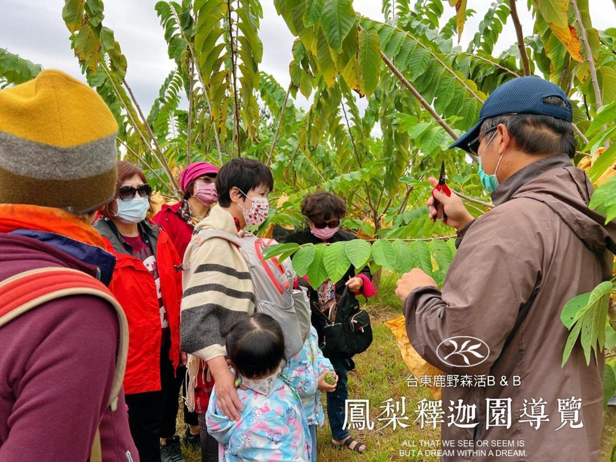 Appartamento 台東鹿野森活 訂房後來電確認 Esterno foto