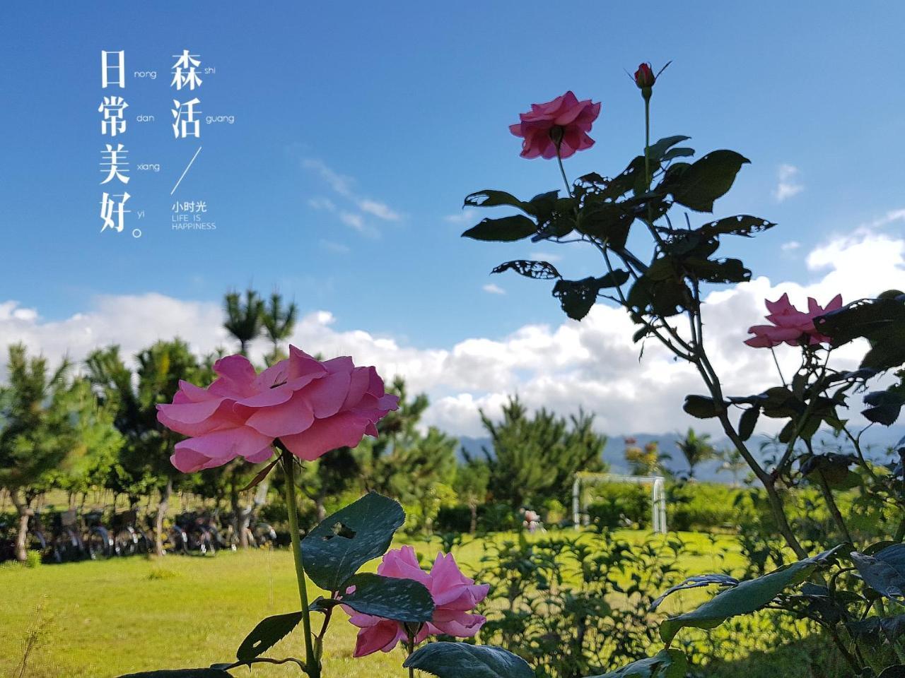 Appartamento 台東鹿野森活 訂房後來電確認 Esterno foto